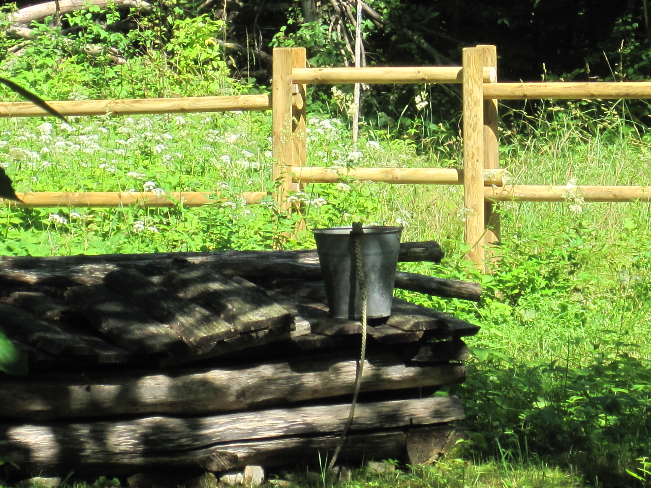 Kadaniku kodumajutus Rohukülas, mõnus metsamajake loodusenautlejale