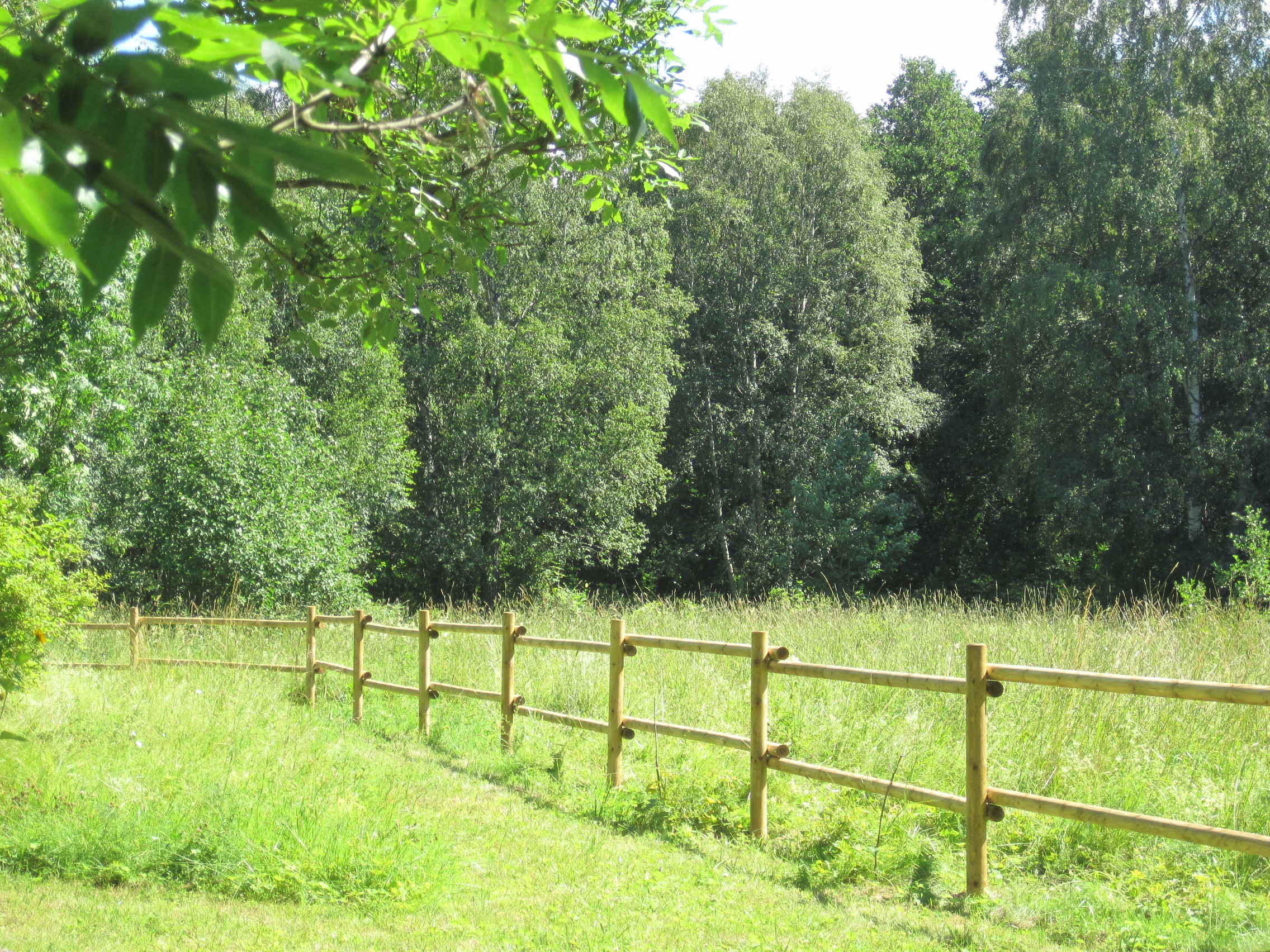 Hubane ja privaatne GreenCube majake metsas Kadaniku talus Läänemaal Rohuküla sadama lähedal - ideaalne rendimaja suveks looduspuhkuseks.